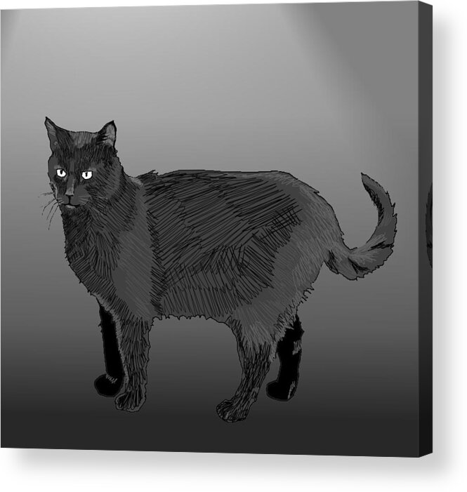 Cat Acrylic Print featuring the digital art Cat Black by Robert Bissett