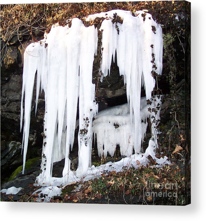  Acrylic Print featuring the photograph ICE by Gerald Kloss