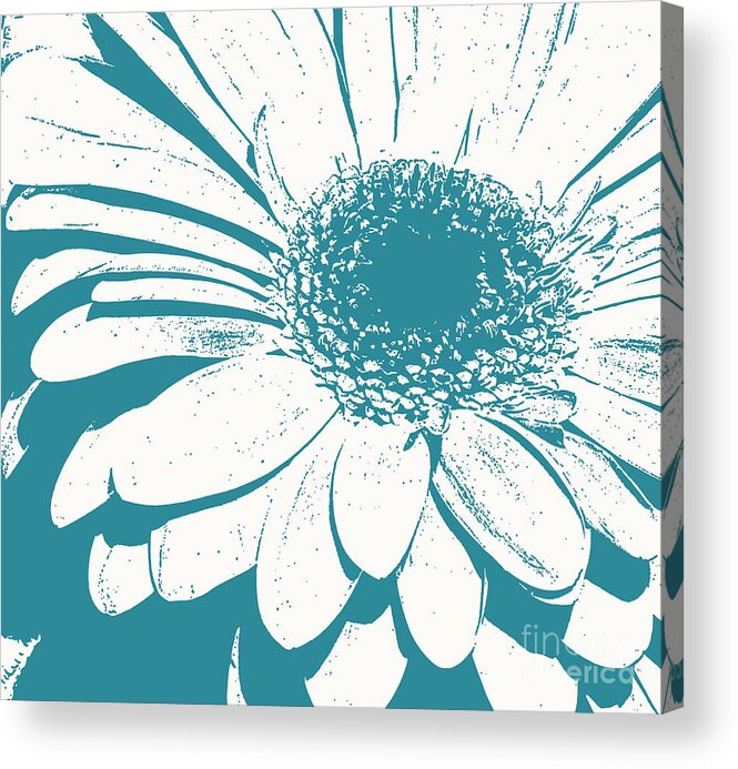 Flower Acrylic Print featuring the photograph Teal decorator Gerbera by Jim And Emily Bush