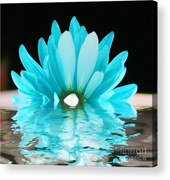 Flower Acrylic Print featuring the photograph A Float by Julie Lueders 