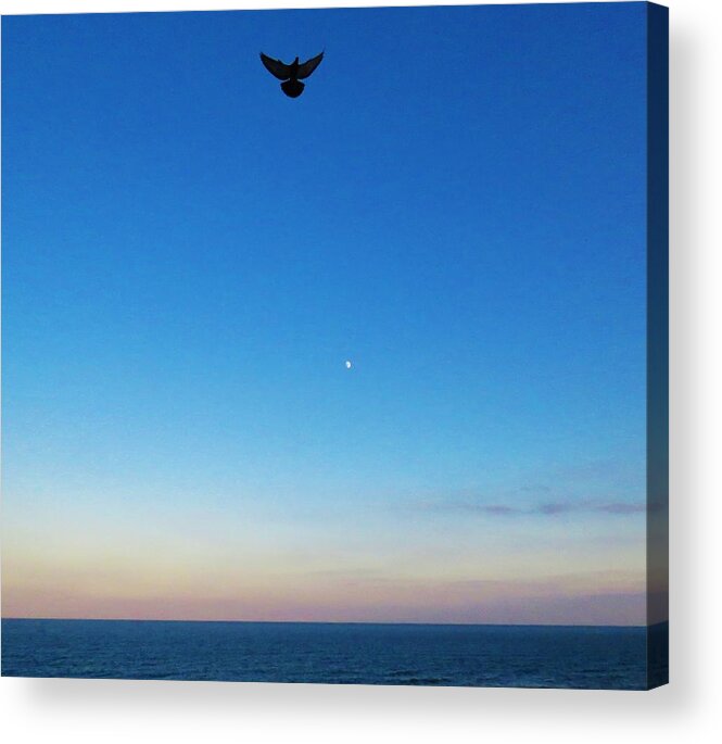 Kathy Long Acrylic Print featuring the photograph Angel Bird by Kathy Long