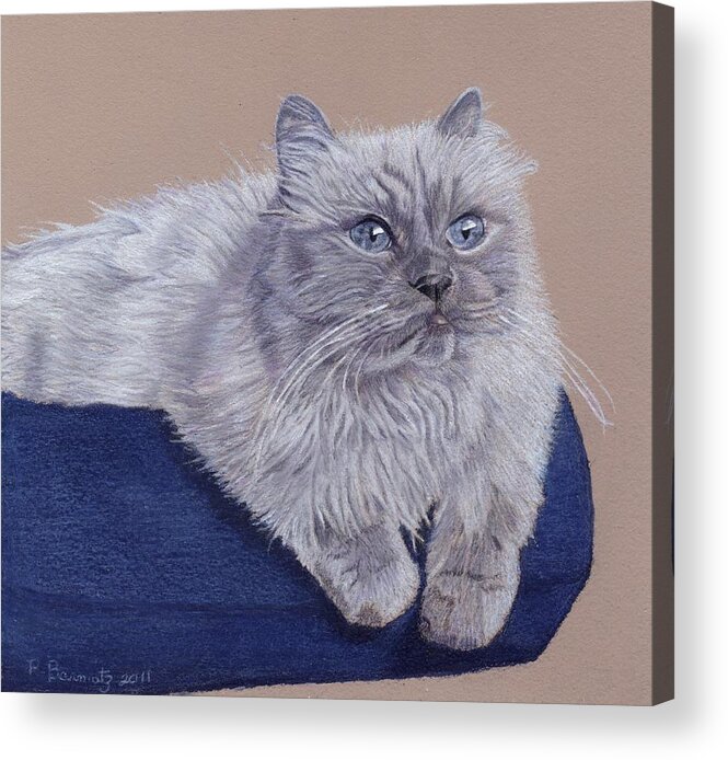 Cats Acrylic Print featuring the painting Bayou - Portrait of a Himalayan by Patricia Barmatz