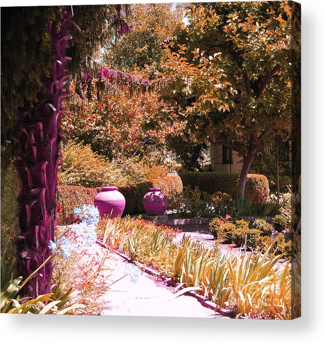 Beauty All Around Acrylic Print featuring the photograph Beauty All Around by Mini Arora