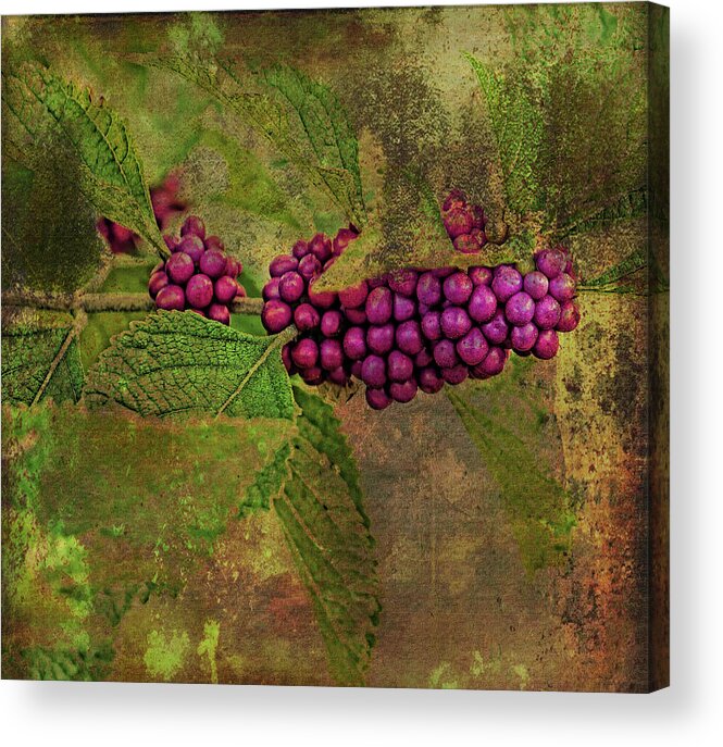 American Beautyberry Acrylic Print featuring the photograph Beautyberry by HH Photography of Florida