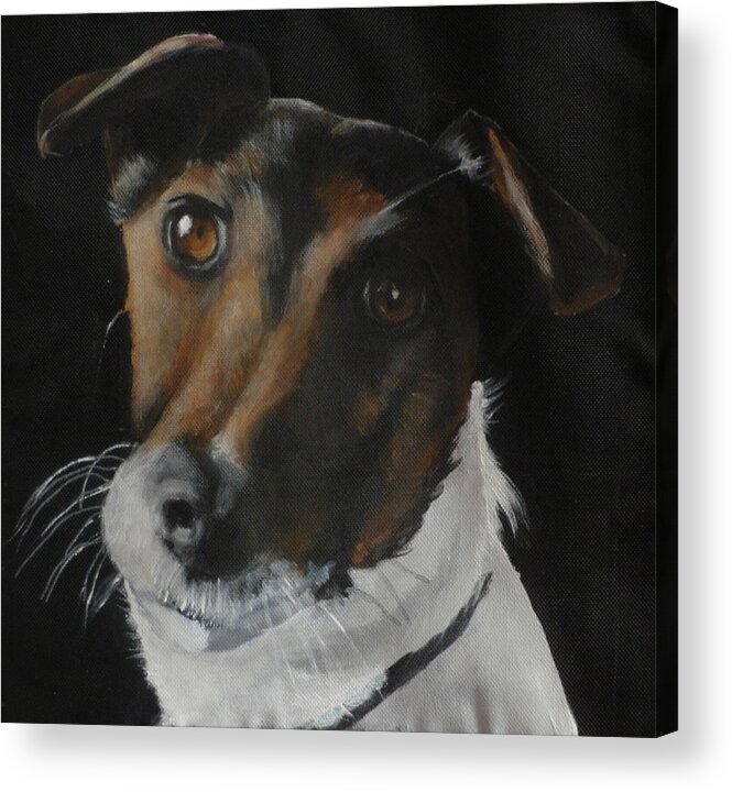 Jack Russell Acrylic Print featuring the painting Cayenne by Carol Russell