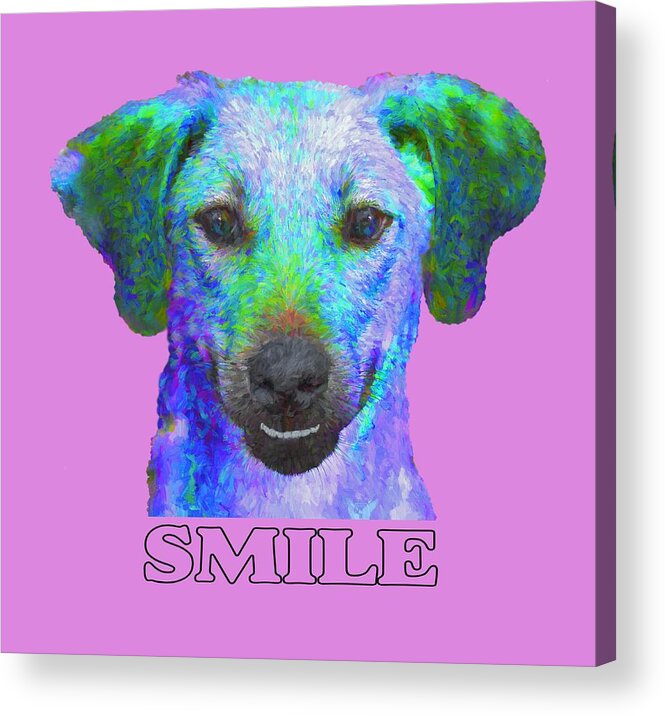 Dog Acrylic Print featuring the photograph Doggy Smile by Mitch Spence