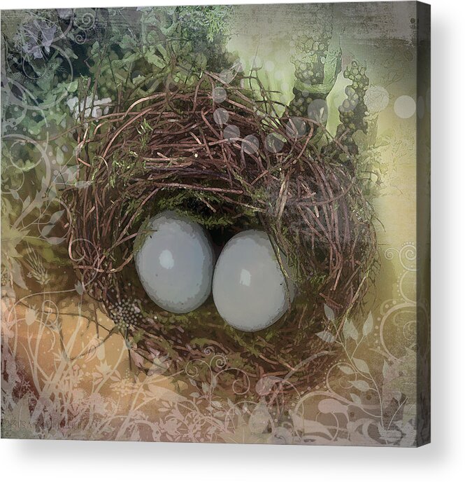 Susan Vineyard Acrylic Print featuring the photograph Eggs in a Nest by Susan Vineyard