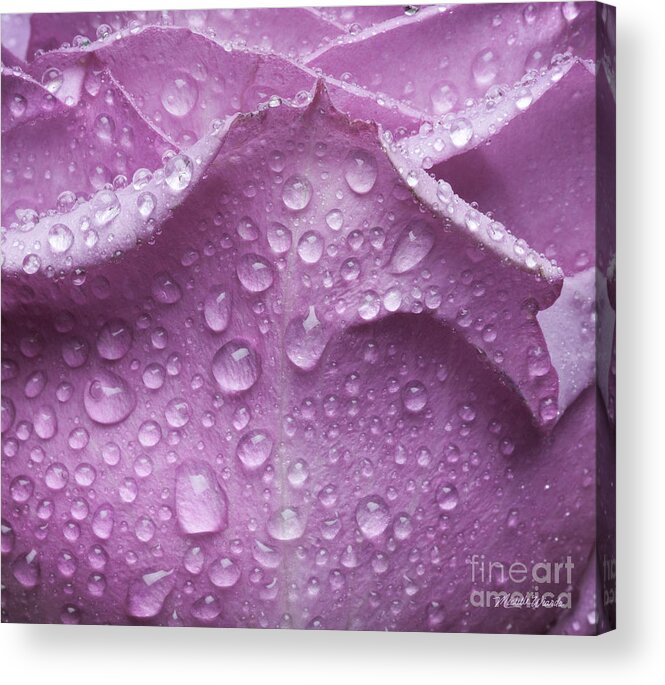 Enchanted Acrylic Print featuring the photograph Enchanted by Michelle Constantine