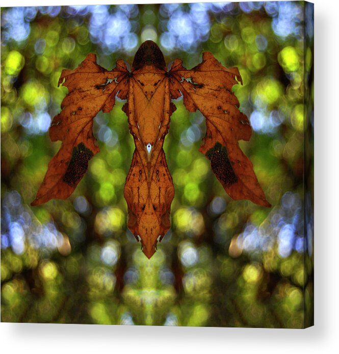 Insect Acrylic Print featuring the digital art Flying Phyllium by Pelo Blanco Photo