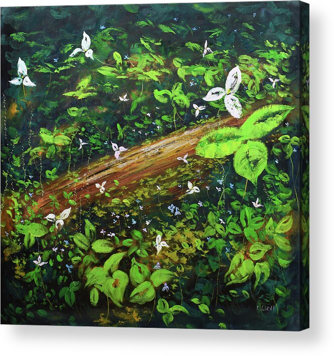 Forest Acrylic Print featuring the painting Forest Flowers by Graham Gercken