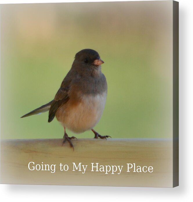 Birds Acrylic Print featuring the photograph Going To My Happy Place by Kimberly Woyak