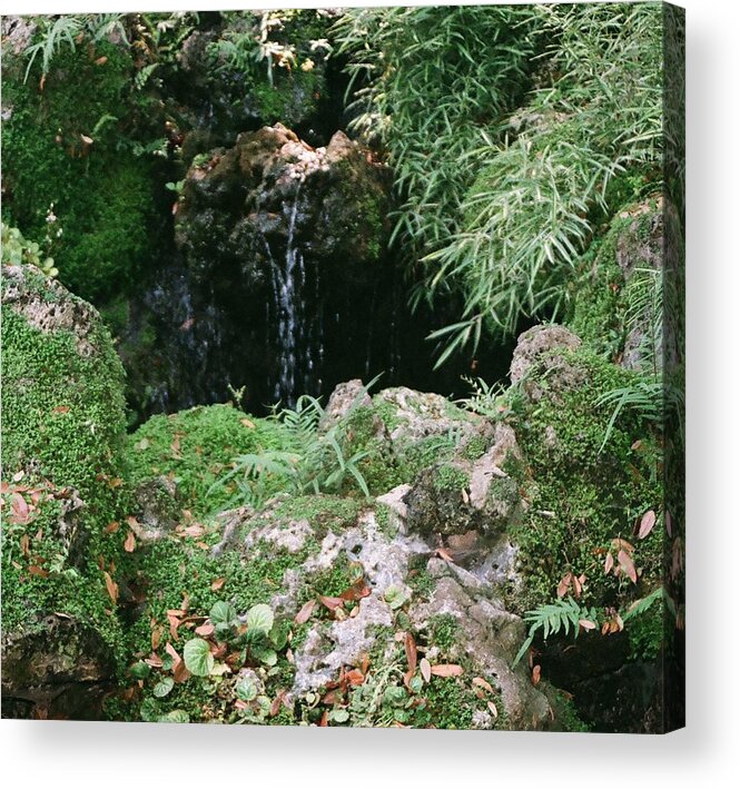 Nature Acrylic Print featuring the photograph Hidden Waterfall by Dean Triolo