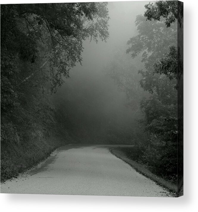 Mist Acrylic Print featuring the photograph I Answered the Call by Wild Thing