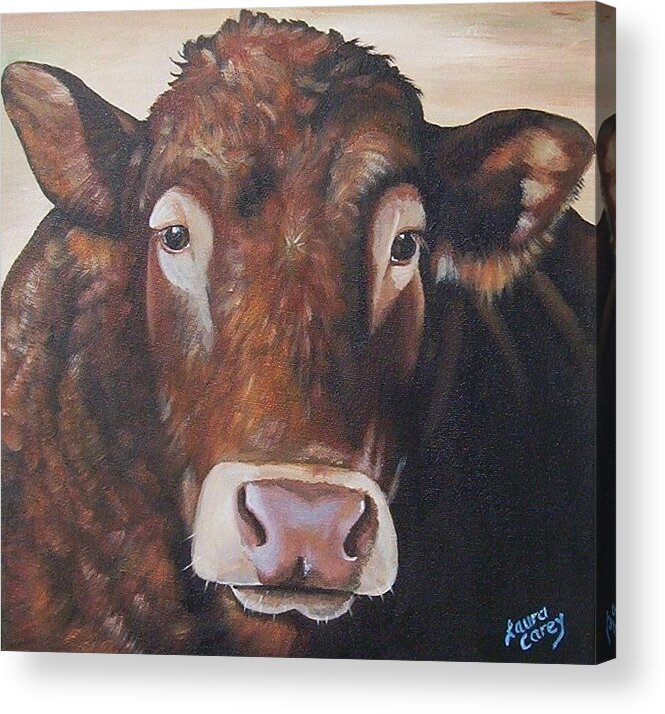 Limousin Acrylic Print featuring the painting Larry Limo by Laura Carey