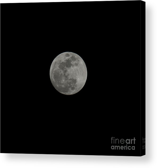 Super Blue Blood Moon Acrylic Print featuring the photograph Moon Gaze by Dale Powell