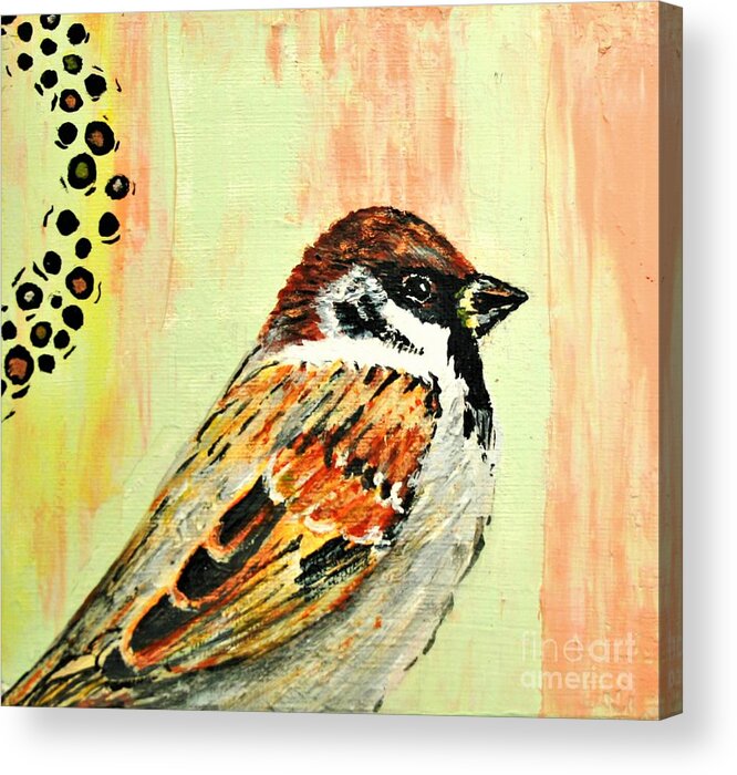 Bird Acrylic Print featuring the painting Mr Sparrow by Tracey Lee Cassin