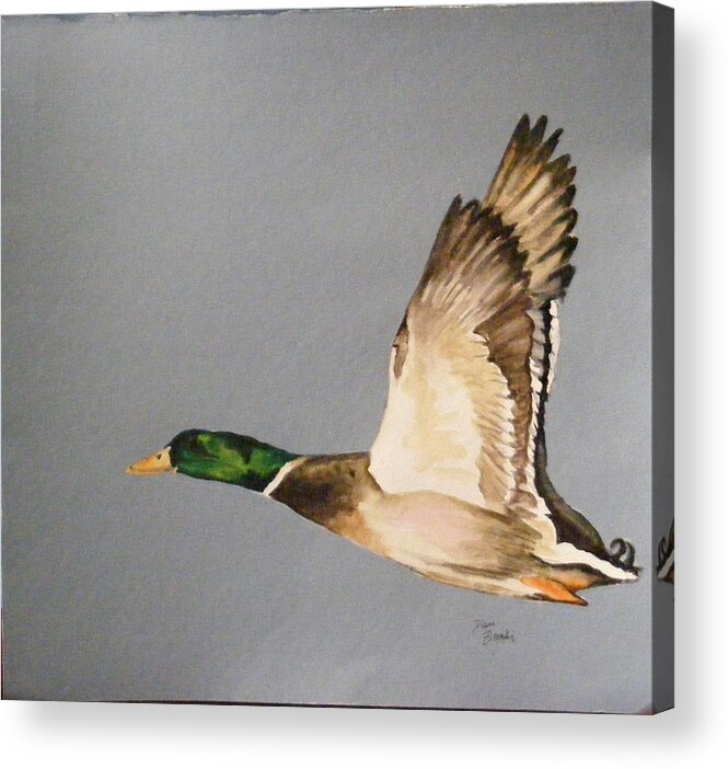 Duck Acrylic Print featuring the painting One Duck by Diane Ziemski