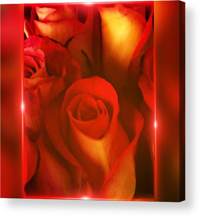 Roses Flowers Acrylic Print featuring the digital art Rose N Heat by Gayle Price Thomas