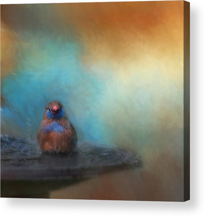 Bird Acrylic Print featuring the photograph Splish Splash by Kim Hojnacki