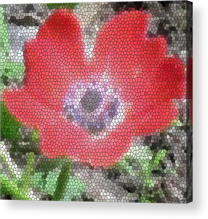 Stain Glass Anemone Acrylic Print featuring the photograph Stain Glass Anemone by Debra   Vatalaro
