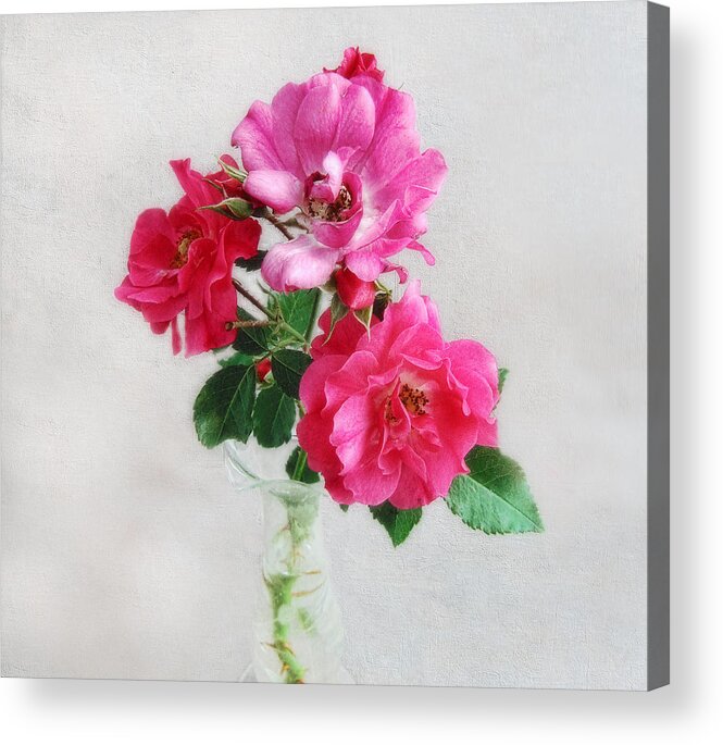 Roses Acrylic Print featuring the photograph Three Old Fashioned Roses by Louise Kumpf