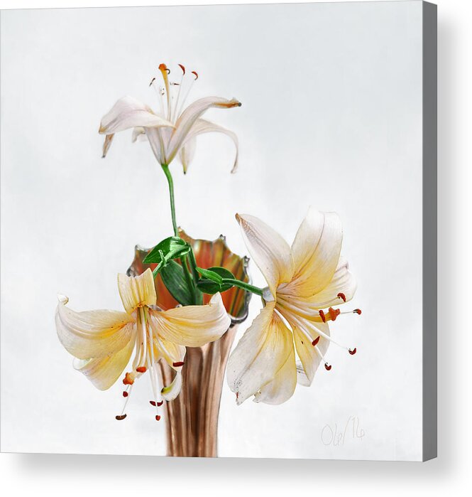 Lily Acrylic Print featuring the photograph Three Pale Gold Lilies Still Life by Louise Kumpf