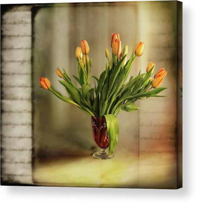Tulips Acrylic Print featuring the photograph Tulips by John Anderson