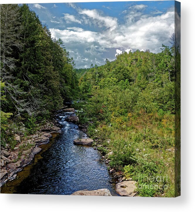Clear Creek Acrylic Print featuring the photograph Up Clear Creek by Paul Mashburn
