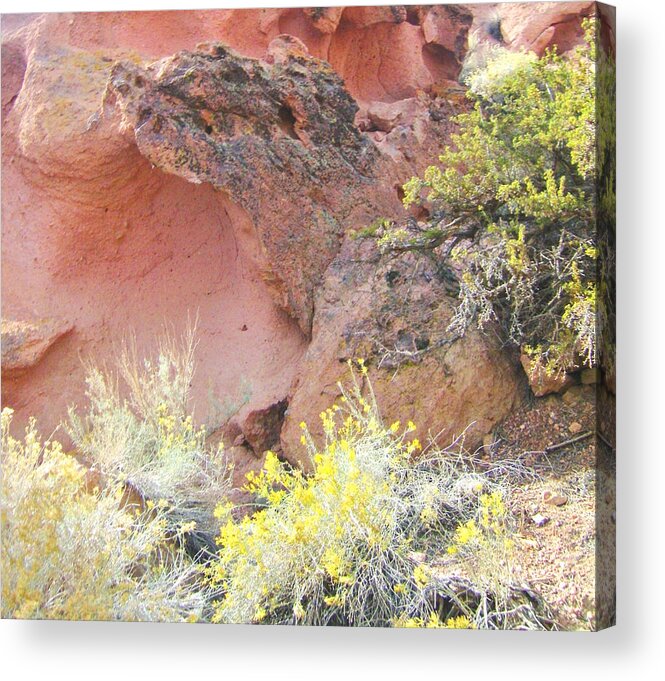 Rock Acrylic Print featuring the photograph Volcanic Garden by Marilyn Diaz