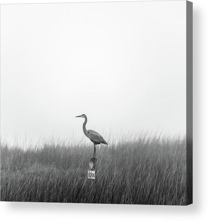 Charleston Acrylic Print featuring the photograph Waiting on the Fog to Clear by Donnie Whitaker