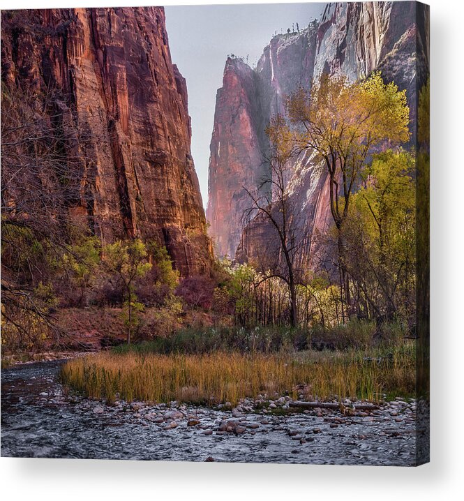 Zion Acrylic Print featuring the photograph Zion Canyon by James Woody