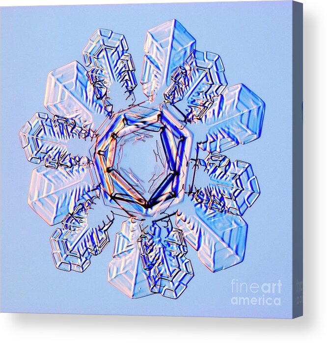 Meteorological Acrylic Print featuring the photograph Double Snowflake #2 by Kenneth Libbrecht/science Photo Library