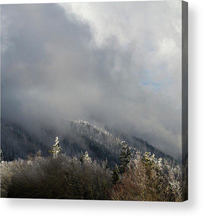 Scenics Acrylic Print featuring the photograph Hoar Frost, Clingmans Dome #2 by Jerry Whaley