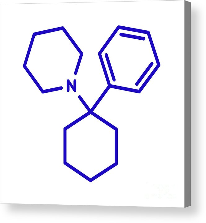 Phencyclidine Acrylic Print featuring the photograph Phencyclidine Hallucinogenic Drug Molecule #3 by Molekuul/science Photo Library