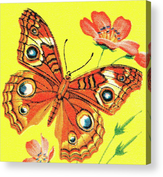 Animal Acrylic Print featuring the drawing Butterfly #8 by CSA Images