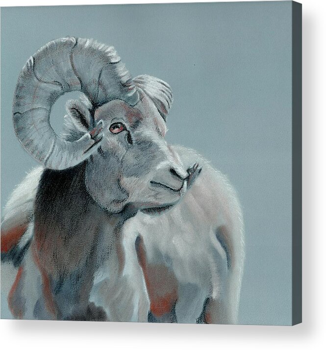 Ram Acrylic Print featuring the pastel Blue Slate Ram- square crop by Alexis King-Glandon