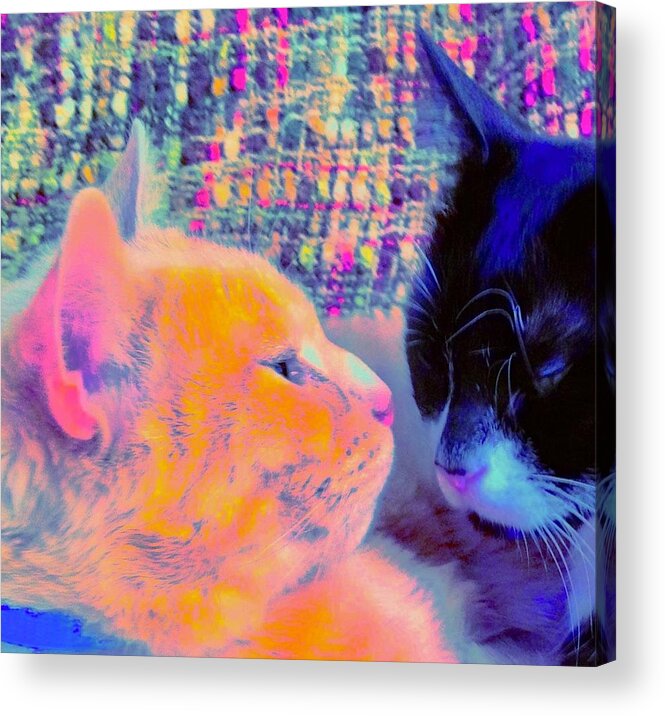 Pets Acrylic Print featuring the photograph Boys in Pastels by Debra Grace Addison