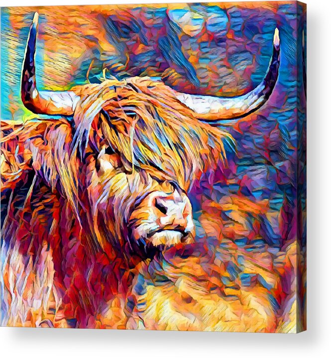Cow Acrylic Print featuring the painting Highland Cow 6 by Chris Butler