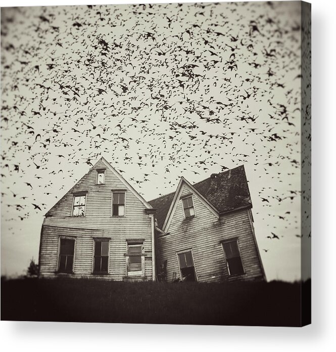 Spooky Acrylic Print featuring the photograph Home Of Murmuration by Shaunl
