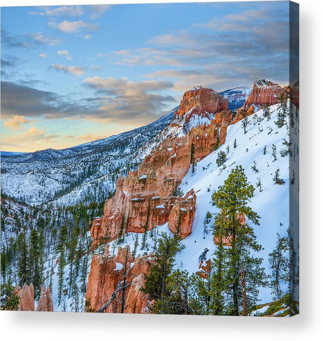 00567620 Acrylic Print featuring the photograph Hoodoos In Winter, Bryce Canyon National Park, Utah by Tim Fitzharris