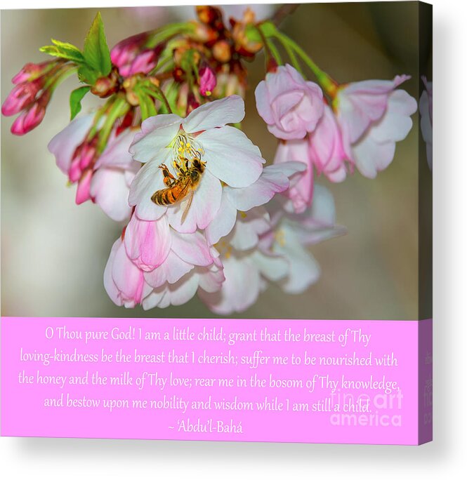 Prayers Acrylic Print featuring the photograph I Am A Little Child, No. 3 by Baha'i Writings As Art