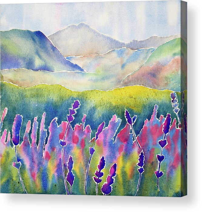 Watercolor Acrylic Print featuring the painting Fresh Lavender by Mary Giacomini