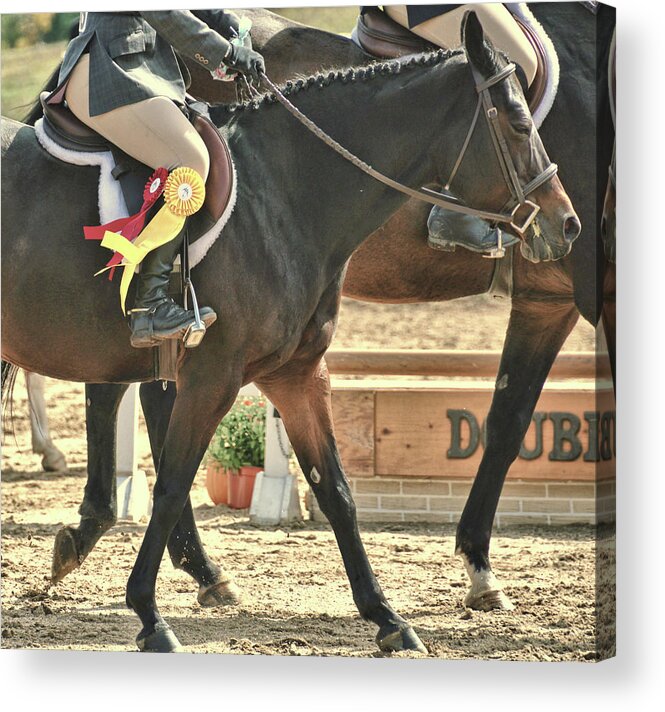 Arena Acrylic Print featuring the photograph Show Off Ribbons by JAMART Photography