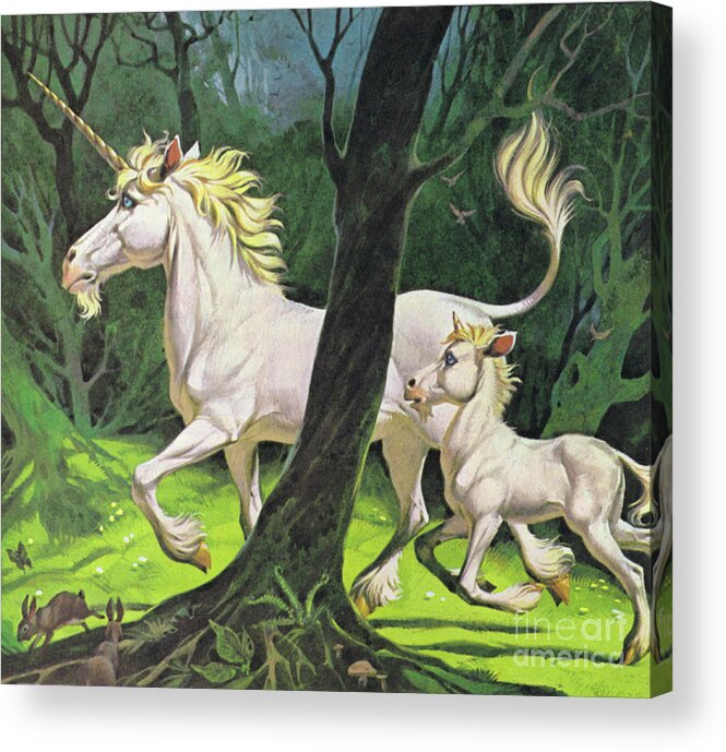 Unicorns Acrylic Print featuring the painting Unicorns by Angus McBride