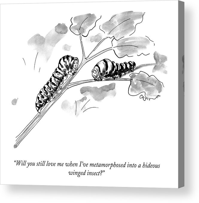 “will You Still Love Me When I’ve Metamorphosed Into A Hideous Insect?” Butterfly Acrylic Print featuring the drawing Will You Still Love Me by Carolita Johnson