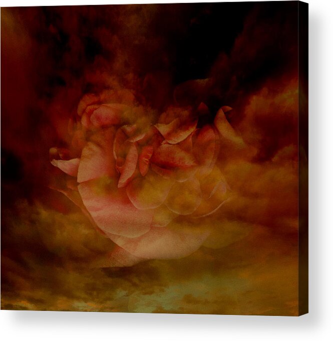 Camellia Acrylic Print featuring the photograph Out of the Darkness #1 by Marsha Tudor