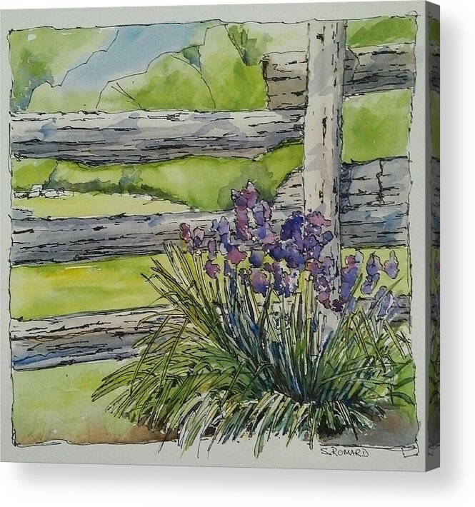 Rustic Garden Acrylic Print featuring the painting Irises by Sheila Romard