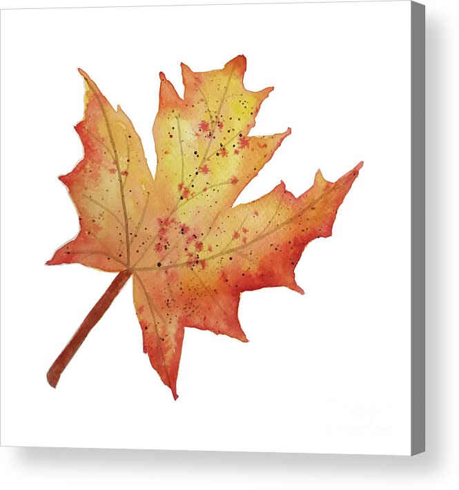 Maple Leaf Acrylic Print featuring the painting Maple Leaf by Lisa Neuman