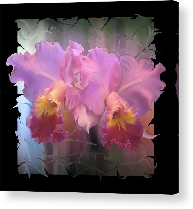 Orchids Acrylic Print featuring the photograph Orchids on Ice by Bruce Frank