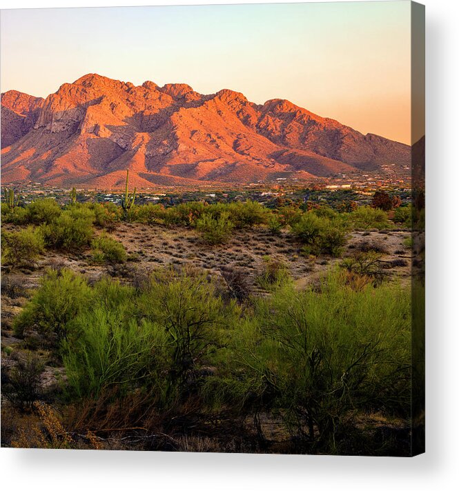 Sonoran Desert Acrylic Print featuring the photograph Oro Valley Vista P24222R3 by Mark Myhaver